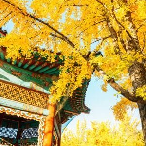 Seoul Children's Grand Park