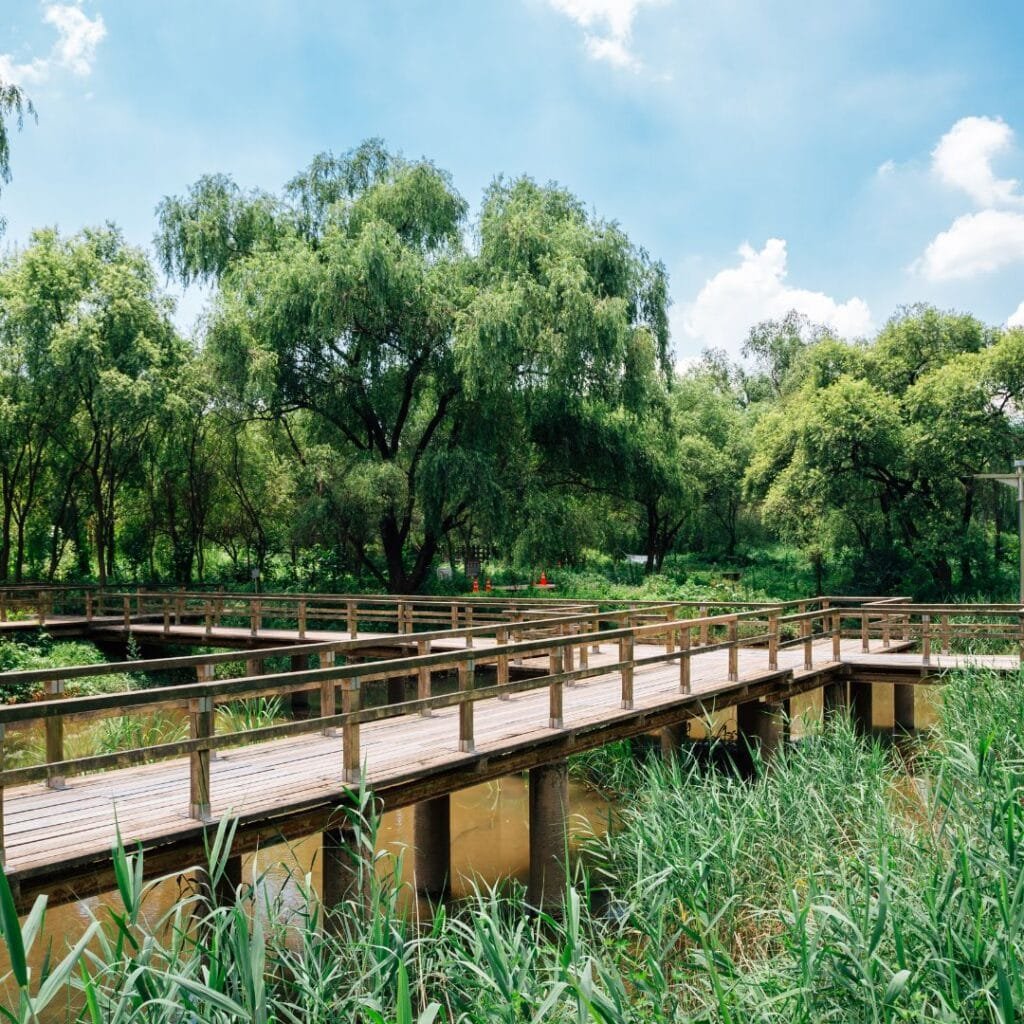 Yeouido Hangang Park
