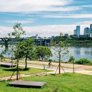 Ttukseom Hangang Park