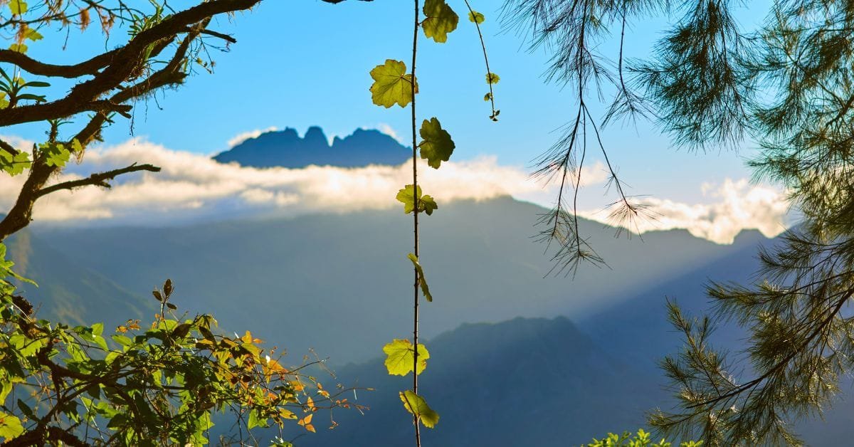 meilleure période pour visiter La Réunion