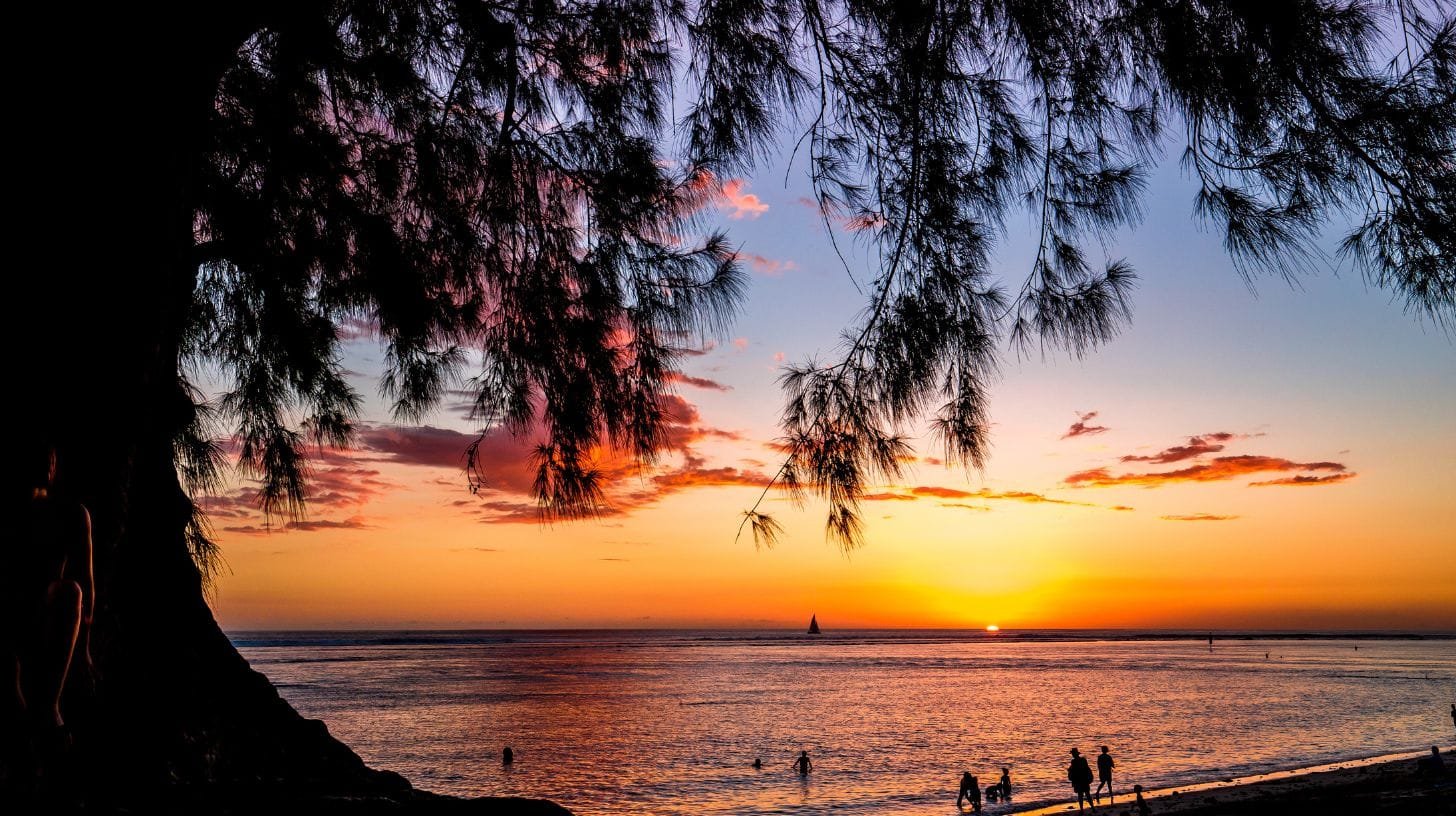 Où voir les baleines à La Réunion ?