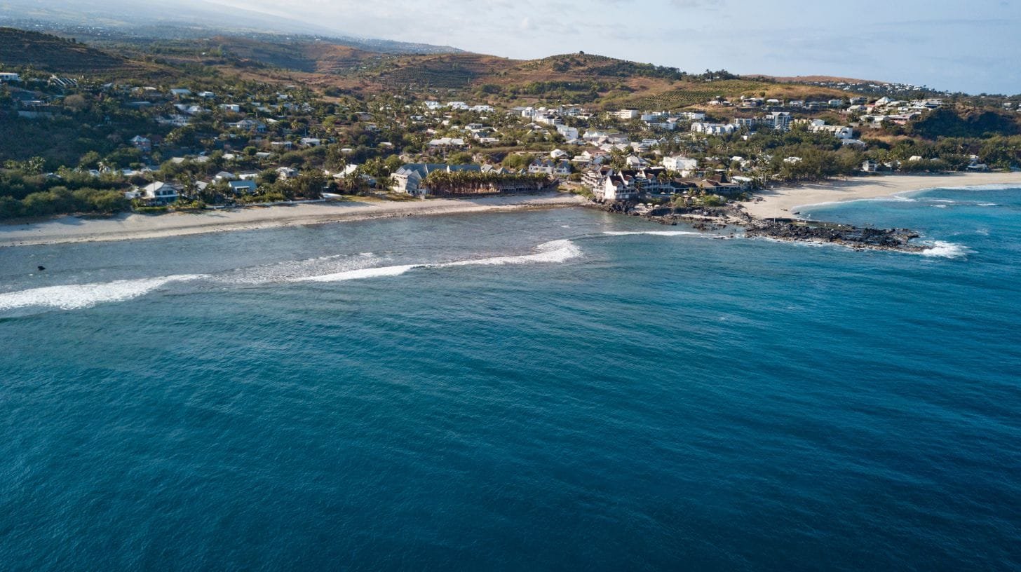 Que prévoir pour une sortie d'observation des baleines ?