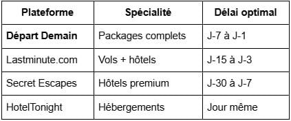 💻 Les meilleures plateformes pour dénicher les bons plans last minute