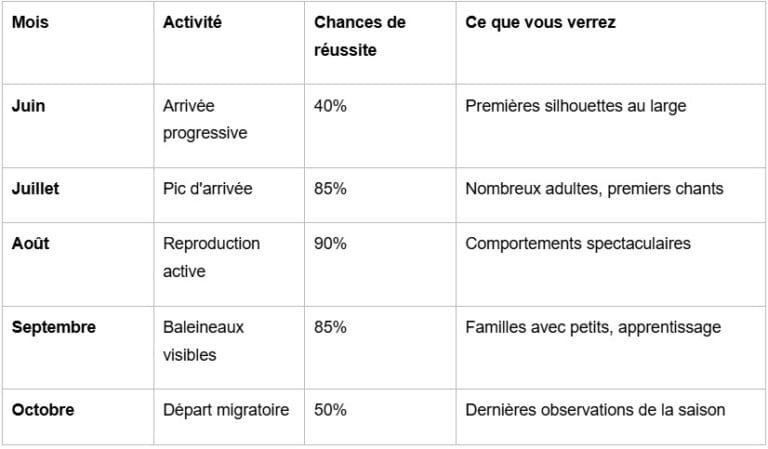 Quand voir les baleines
