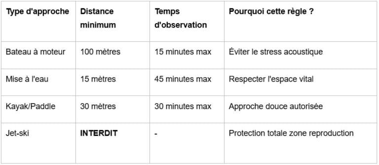 distances de sécurité pour admirer les baleines